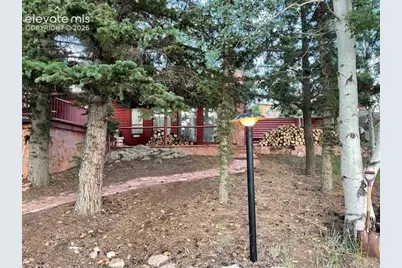 30 Brook Drive, Lake George, CO 80827 - Photo 1