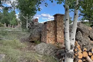 30 Brook Dr, Lake George, CO 80827 - Photo 11