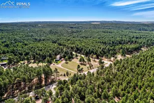 16265 Roller Coaster Rd, Colorado Springs, CO 80921 - Photo 37