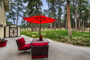 16265 Roller Coaster Rd, Colorado Springs, CO 80921 - Photo 33