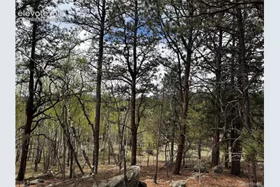 210 Crescent Drive, Florissant, CO 80816 - Photo 5
