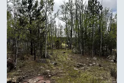 210 Crescent Drive, Florissant, CO 80816 - Photo 3