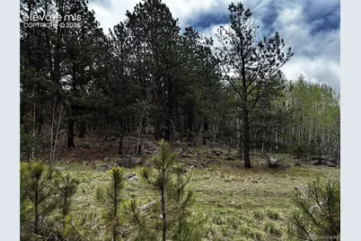 210 Crescent Drive, Florissant, CO 80816 - Photo 7