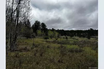 210 Crescent Drive, Florissant, CO 80816 - Photo 9