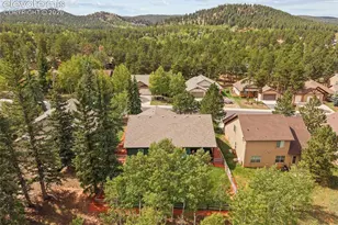 1113 Ptarmigan Dr, Woodland Park, CO 80863 - Photo 41