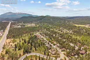 1113 Ptarmigan Dr, Woodland Park, CO 80863 - Photo 47