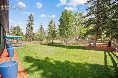 1113 Ptarmigan Drive, Woodland Park, CO 80863 - Photo 35