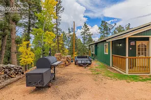 191 Nuaku Rd, Florissant, CO 80816 - Photo 11