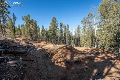 565 Fairview Drive, Cripple Creek, CO 80813 - Photo 7