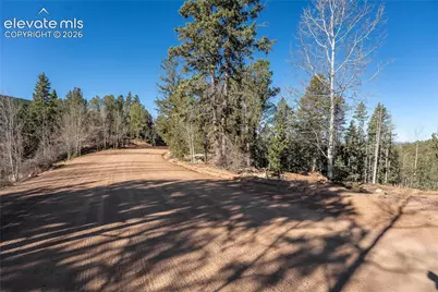 565 Fairview Drive, Cripple Creek, CO 80813 - Photo 3
