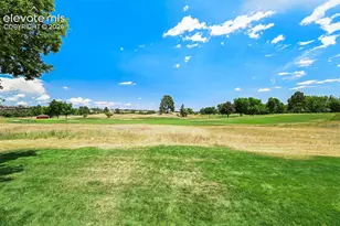 348 Blue Windsor Ln, Colorado Springs, CO 80906 - Photo 5