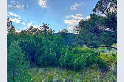 16116 Cala Rojo Drive, Colorado Springs, CO 80926 - Photo 7