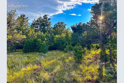 16116 Cala Rojo Drive, Colorado Springs, CO 80926 - Photo 3