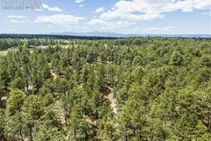 18440 Black Squirrel Rd, Colorado Springs, CO 80908 - Photo 47