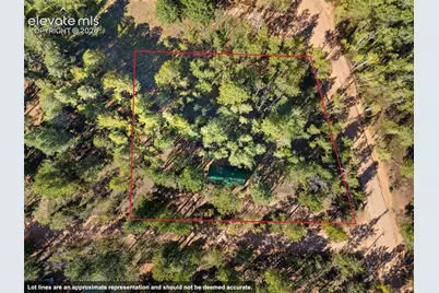 954 Timber Ridge Road, Divide, CO 80814 - Photo 15