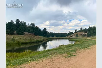 60 Pickens Road, Florissant, CO 80816 - Photo 13