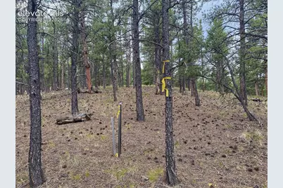 60 Pickens Road, Florissant, CO 80816 - Photo 3