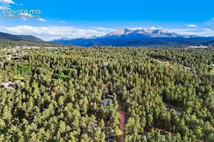 167 E Kelley's Rd, Woodland Park, CO 80863 - Photo 49