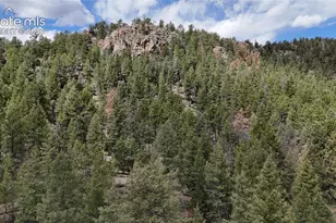 4943 County Rd 11, Florissant, CO 80816 - Photo 1