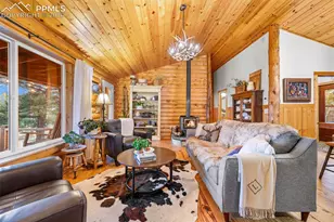 1366 Vagabond Creek Dr, Lake George, CO 80827 - Photo 7