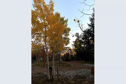 1366 Vagabond Creek Drive, Lake George, CO 80827 - Photo 23