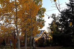 1366 Vagabond Creek Dr, Lake George, CO 80827 - Photo 23
