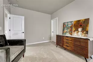4562 Horse Gulch Loop, Colorado Springs, CO 80924 - Photo 37