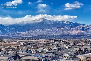 4562 Horse Gulch Loop, Colorado Springs, CO 80924 - Photo 47