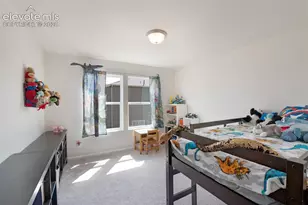 6035 White Wolf Pt, Colorado Springs, CO 80925 - Photo 23