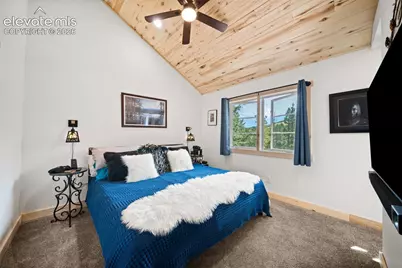 475 Crystal Drive, Cripple Creek, CO 80813 - Photo 15