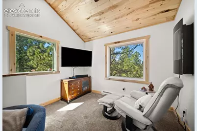 475 Crystal Drive, Cripple Creek, CO 80813 - Photo 19