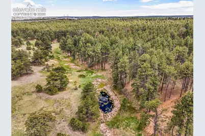 10655 Hardy Road, Colorado Springs, CO 80908 - Photo 15