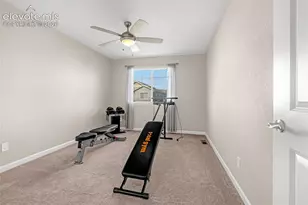 1314 Promontory Bluff View, Colorado Springs, CO 80921 - Photo 19