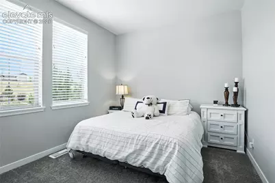 9538 Bear River Street, Littleton, CO 80125 - Photo 29