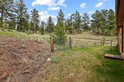 4687 W Highway 24, Florissant, CO 80816 - Photo 27