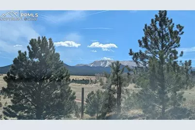 924 Will Scarlet Drive, Divide, CO 80814 - Photo 5