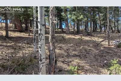 924 Will Scarlet Drive, Divide, CO 80814 - Photo 1