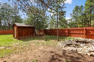 1280 Chippewa Trail, Woodland Park, CO 80863 - Photo 27