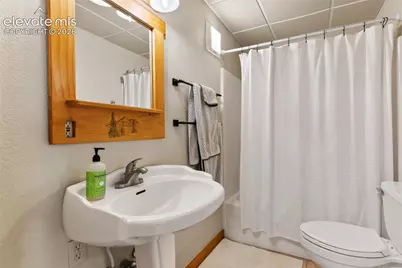 1280 Chippewa Trail, Woodland Park, CO 80863 - Photo 13