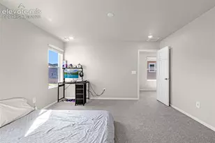 11396 Saugeye St, Colorado Springs, CO 80925 - Photo 17