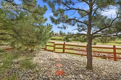 19524 Lindenmere Drive, Monument, CO 80132 - Photo 49