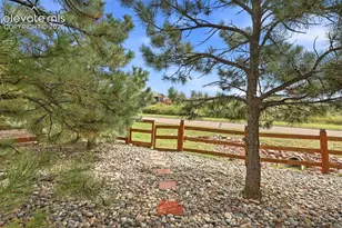 19524 Lindenmere Dr, Monument, CO 80132 - Photo 49