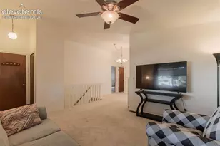 2633 Manassas Way, Colorado Springs, CO 80922 - Photo 9