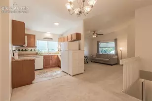 2633 Manassas Way, Colorado Springs, CO 80922 - Photo 11