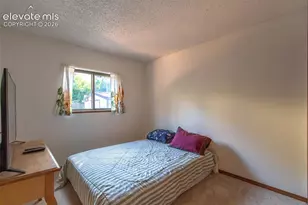 2633 Manassas Way, Colorado Springs, CO 80922 - Photo 15
