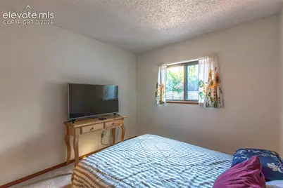 2633 Manassas Way, Colorado Springs, CO 80922 - Photo 19