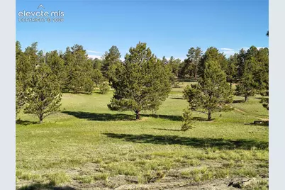 314 Arrowhead Drive, Florissant, CO 80816 - Photo 17