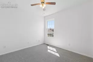 8034 Brittinger Way, Colorado Springs, CO 80951 - Photo 19