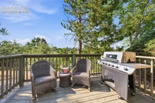 3412 Atlantic Dr, Colorado Springs, CO 80910 - Photo 23