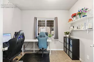 113 Everett Dr, Colorado Springs, CO 80911 - Photo 15